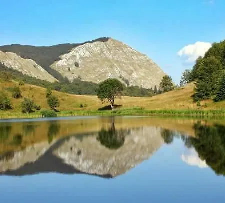 Kosuta * טיינטישטה