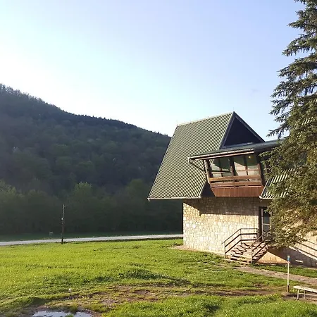 Kosuta טיינטישטה